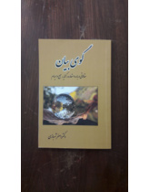 گوی بیان (مقالاتی درباره استعاره، کنایه و سجع)