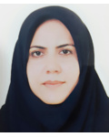 نیکی نیروزاده