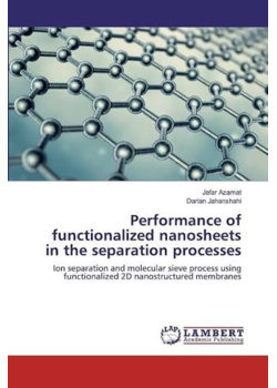Performance of functionalized nanosheets in the separation processes