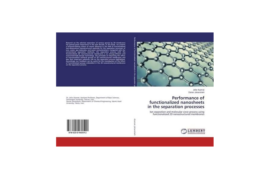 Performance of functionalized nanosheets in the separation processes