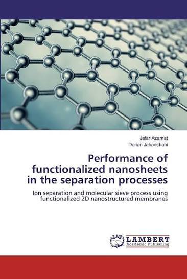 Performance of functionalized nanosheets in the separation processes