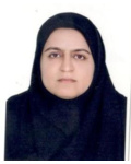 اکرم حمیدی نصرآباد