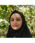 زکیه خلیلی