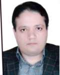 محمد رضا