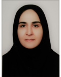 مینا