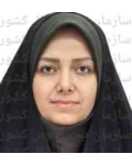 مریم میرزاپور